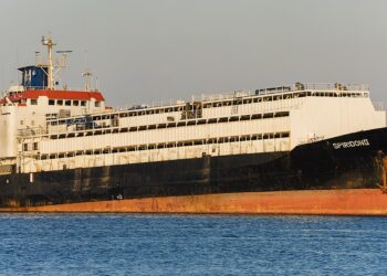 Rindertransporte als Geschäftsmodell: Der Fall „Spiridon II“ zeigt das System dahinter