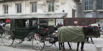 Fiaker in Wien: Tourismus auf Kosten der&nbsp;Tiere