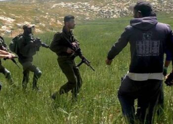 Chadasch-Abgeordneter verurteilt Siedlergewalt im besetzten Westjordanland als „Kristallnacht“