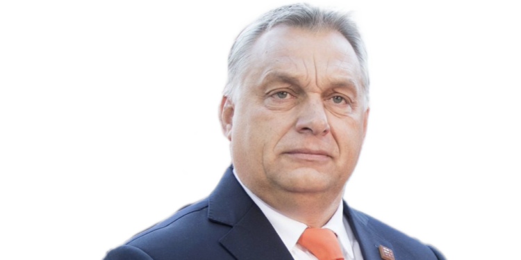 Selenskyj stößt Morddrohungen gegen Viktor Orbán&nbsp;aus