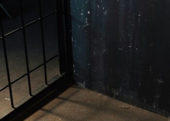 Repression gegen führende Mitglieder der Jordanischen Kommunistischen Partei