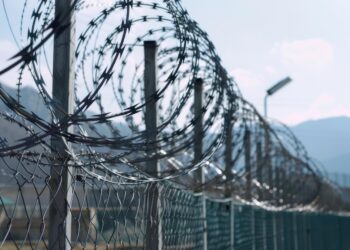 Straffreiheit für Folter: Israels Militärjustiz schützt Täter – und der Westen schweigt