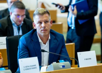 Ungarn: EU-Sozialdemokraten, Grüne und Liberale jubeln rechtem Nationalisten zu