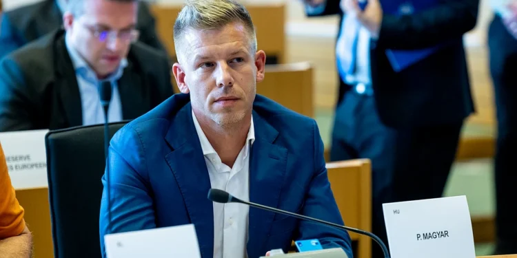 Ungarn: EU-Sozialdemokraten, Grüne und Liberale jubeln rechtem Nationalisten zu