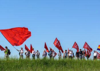 Partei der Arbeit Österreichs stellt Weichen für kommende Aufgaben