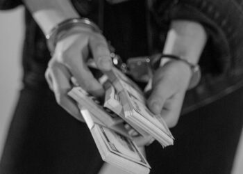 Der Fall Grasser und die Logik der Eliten