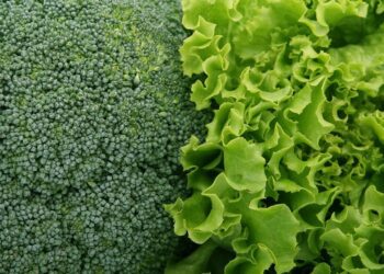 Teurer Salat, teurer Alltag