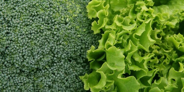 Teurer Salat, teurer Alltag