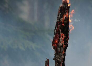 70 Hektar Wald brennen in Kärnten