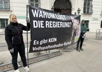 Warum lügt die Regierung?