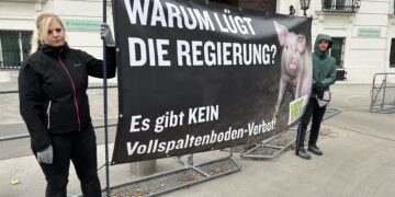 Warum lügt die Regierung?