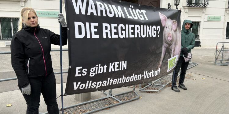Warum lügt die Regierung?