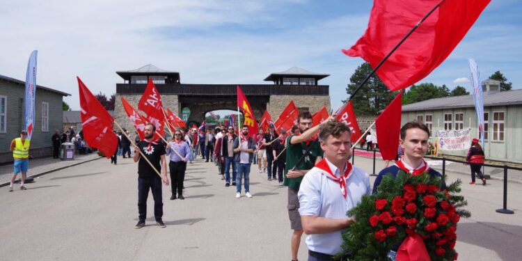 Internationale Befreiungsfeier in Mauthausen – 81 Jahre Befreiung