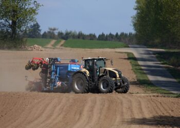 Trockenheit in Österreich: Landwirtschaft unter Druck, Waldbrandgefahr steigt