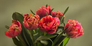 Muttertag: Blumen für die Mama, Millionen für den Handel