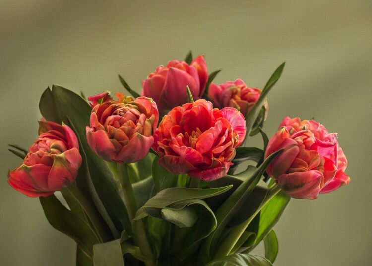 Muttertag: Blumen für die Mama, Millionen für den Handel