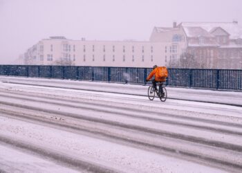 Arbeiten und trotzdem arm: Die unsichtbare Realität der „Working Poor“ in Österreich