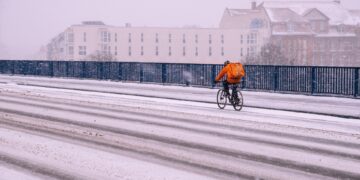 Arbeiten und trotzdem arm: Die unsichtbare Realität der „Working Poor“ in Österreich