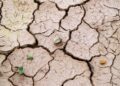 Wasser wird knapp – die ökologische Krise des Kapitalismus verschärft sich