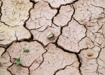 Wasser wird knapp – die ökologische Krise des Kapitalismus verschärft sich