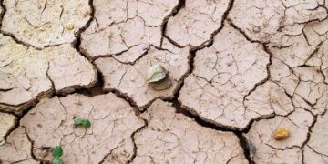 Wasser wird knapp – die ökologische Krise des Kapitalismus verschärft sich