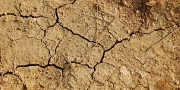 Donau: Stärkste Dürre seit 30 Jahren legt Mammutreste frei