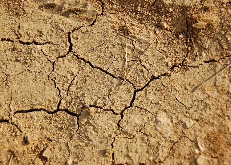 Donau: Stärkste Dürre seit 30 Jahren legt Mammutreste frei