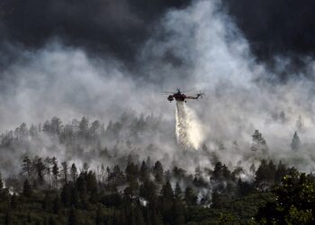 Wälder in vielen Teilen der Welt brennen lichterloh – am schlimmsten ist Sibirien betroffen