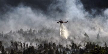 Wälder in vielen Teilen der Welt brennen lichterloh – am schlimmsten ist Sibirien betroffen