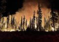 Spanien: Schwerer Waldbrand bei Valencia