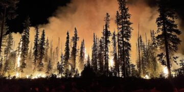 Spanien: Schwerer Waldbrand bei Valencia