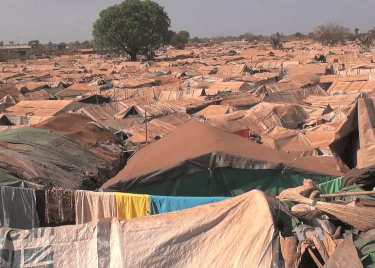 Die Kriegswirtschaft im Sudan: Wer zahlt den&nbsp;Preis?