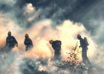Waldbrände in Österreich: Freiwillige Feuerwehren als wesentliche Stütze der Brandbekämpfung