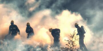 Waldbrände in Österreich: Freiwillige Feuerwehren als wesentliche Stütze der Brandbekämpfung