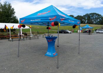 Sachsen-Anhalt: AfD gewinnt Landtagswahl deutlich