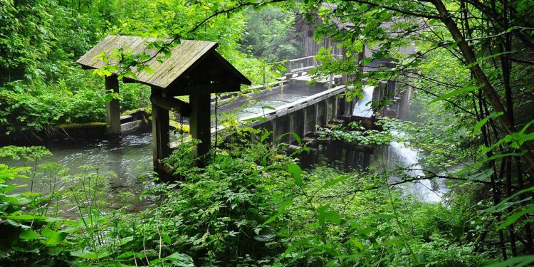 Trockenheit setzt Bleistätter Moor unter&nbsp;Druck