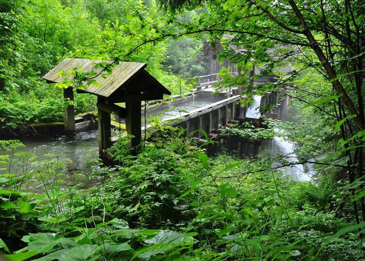 Trockenheit setzt Bleistätter Moor unter&nbsp;Druck