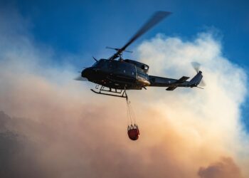 Frankreich: Größter Waldbrand seit 1949 gelöscht